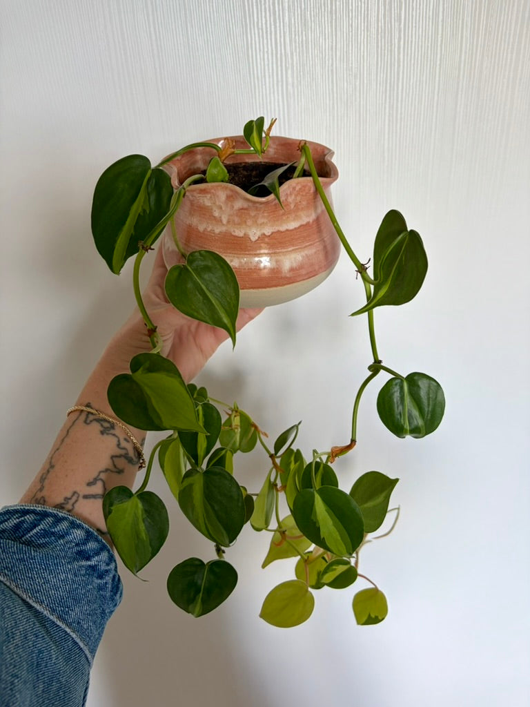 Cache-pot fleur