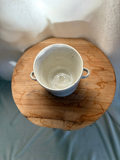 Cache-pot seau